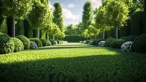 华蓥城市绿化的植物品种